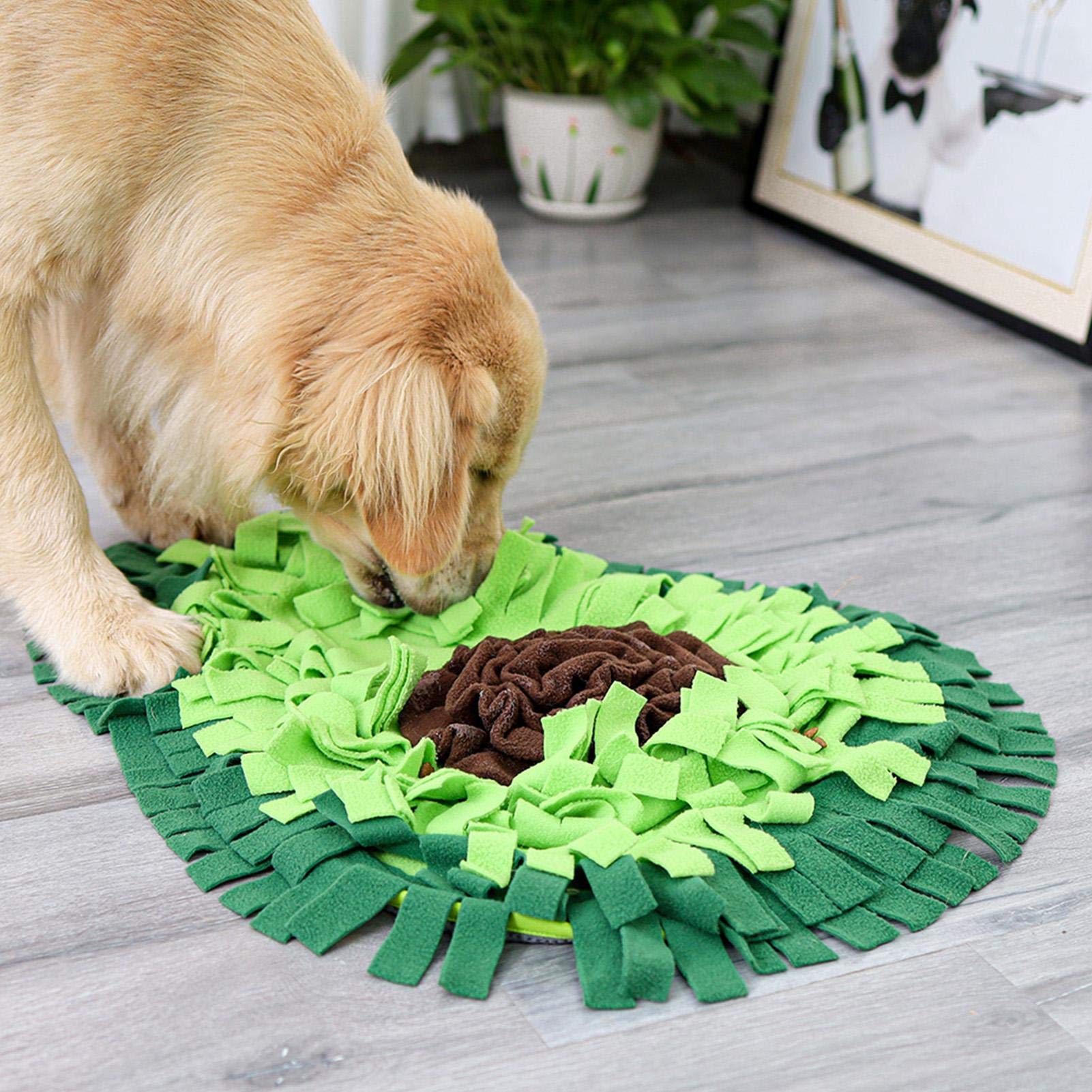 Interactive Dog Snuffle Mat – Sniffing Puzzle Feeding Toy